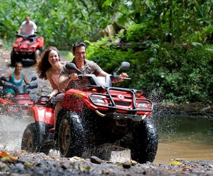 Quad Safari